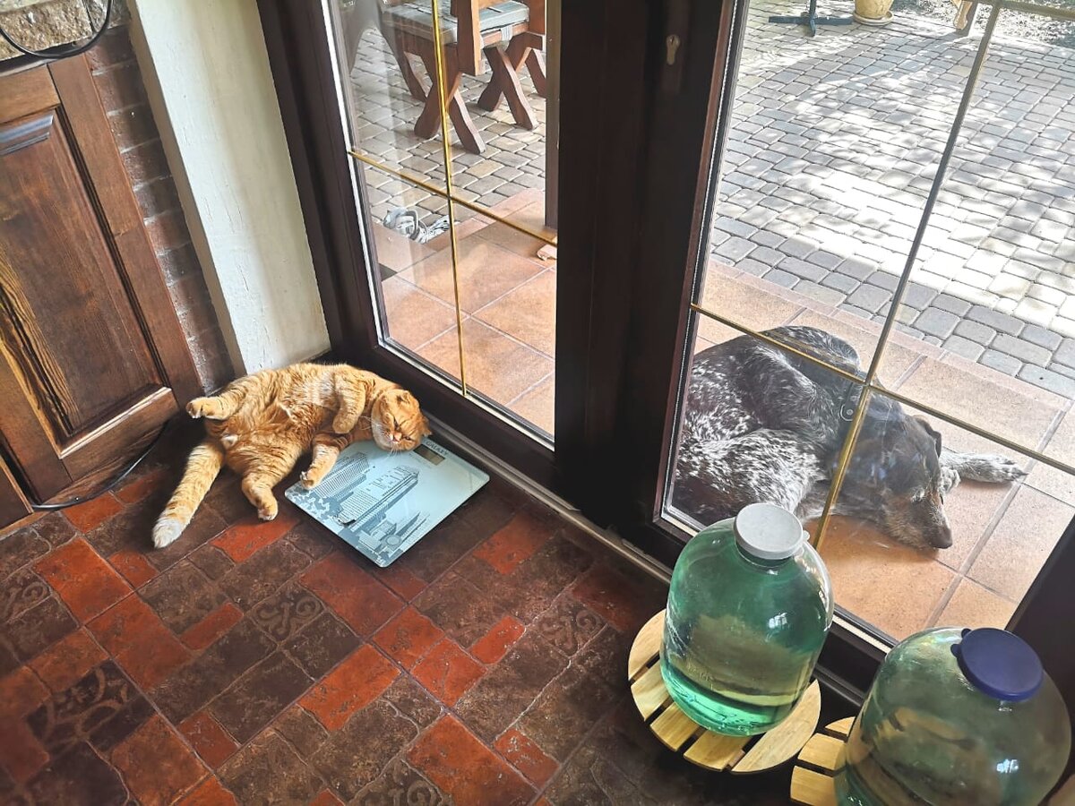 Фото автора