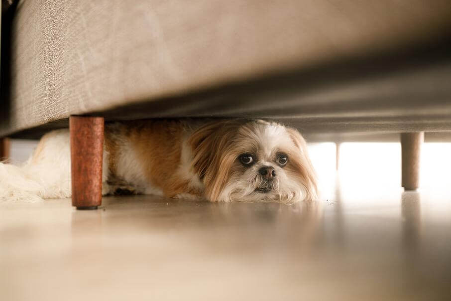 Фото: iStock