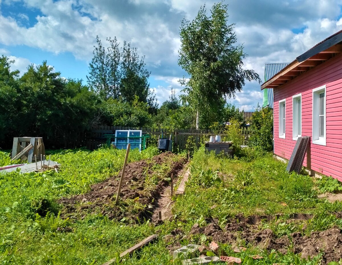 Фото "ДО" всех работ по посадке газона, лето-2017