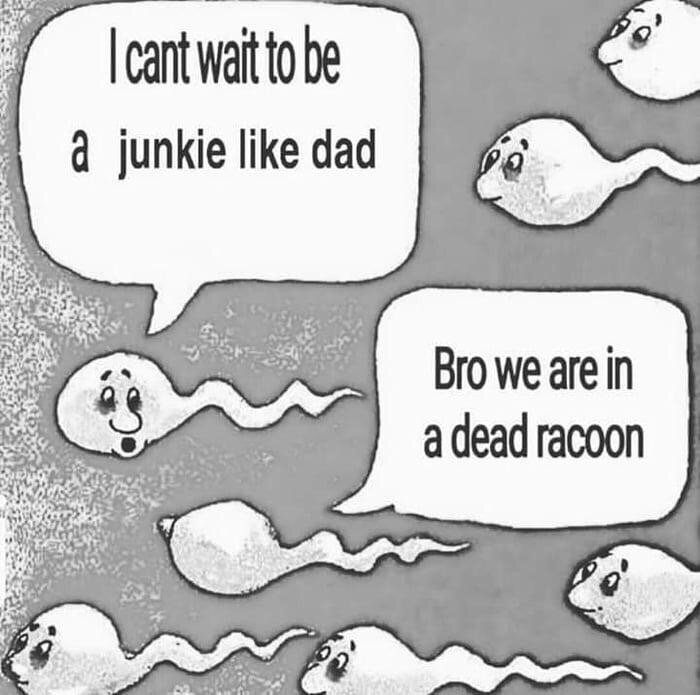 Be like bro. Bro im Dead meme. We are like.