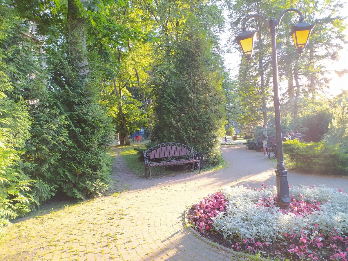 Светлогорск парк Курортная улица