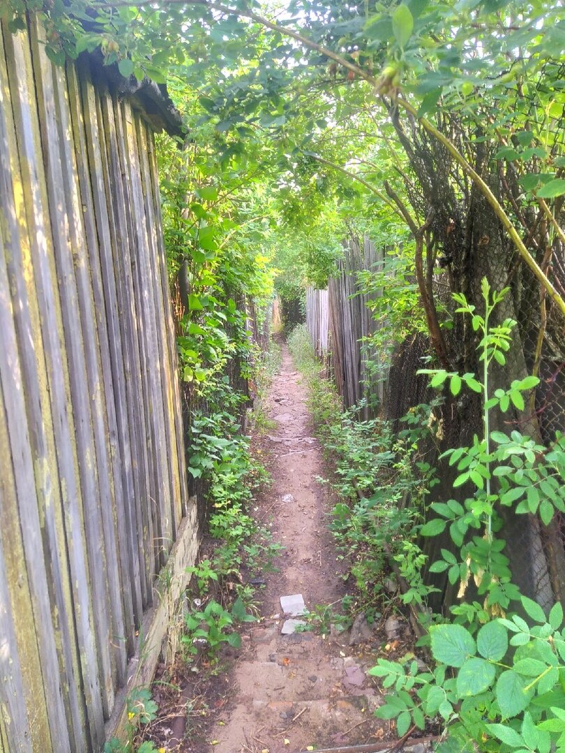 Фото из личного архива автора