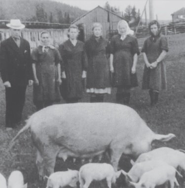 Жители района в тяжелое время сумели обеспечить себя и овощами, и мясом