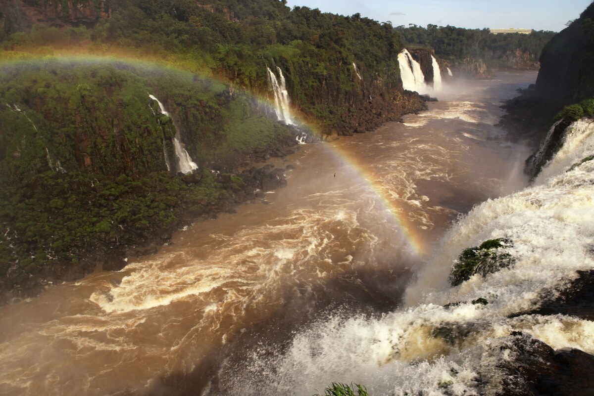 Фото: iStock.com