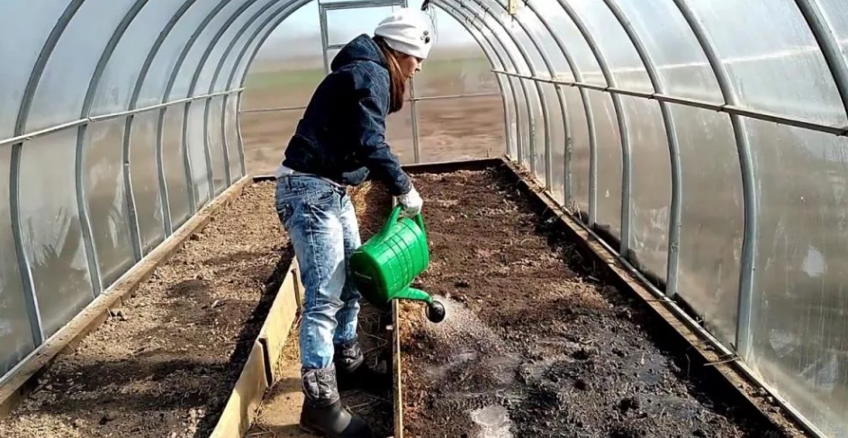 Фотография взята из источника  greentalk.ru