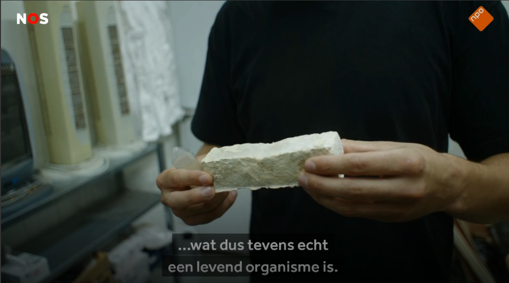 то, что получилось / скришот с сайт nos.nl