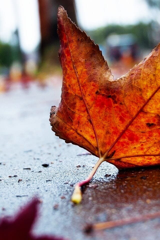 Фото взято из открытых источников. 