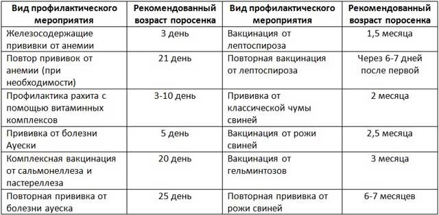 Как колоть в1 и в6 схема