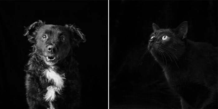 Паркер и Габриель. Источник: instagram.com/emmaobrienphoto