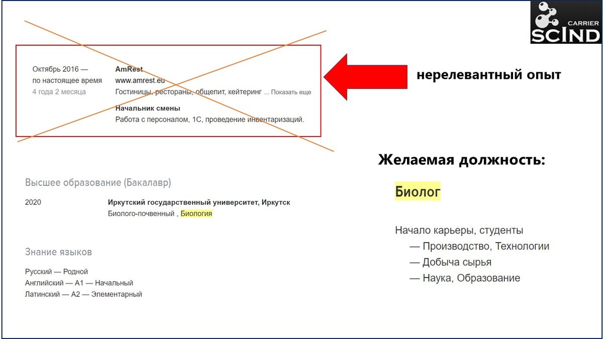 Картинка 1. Пример плохого оформления нерелевантного опыта у выпускника.