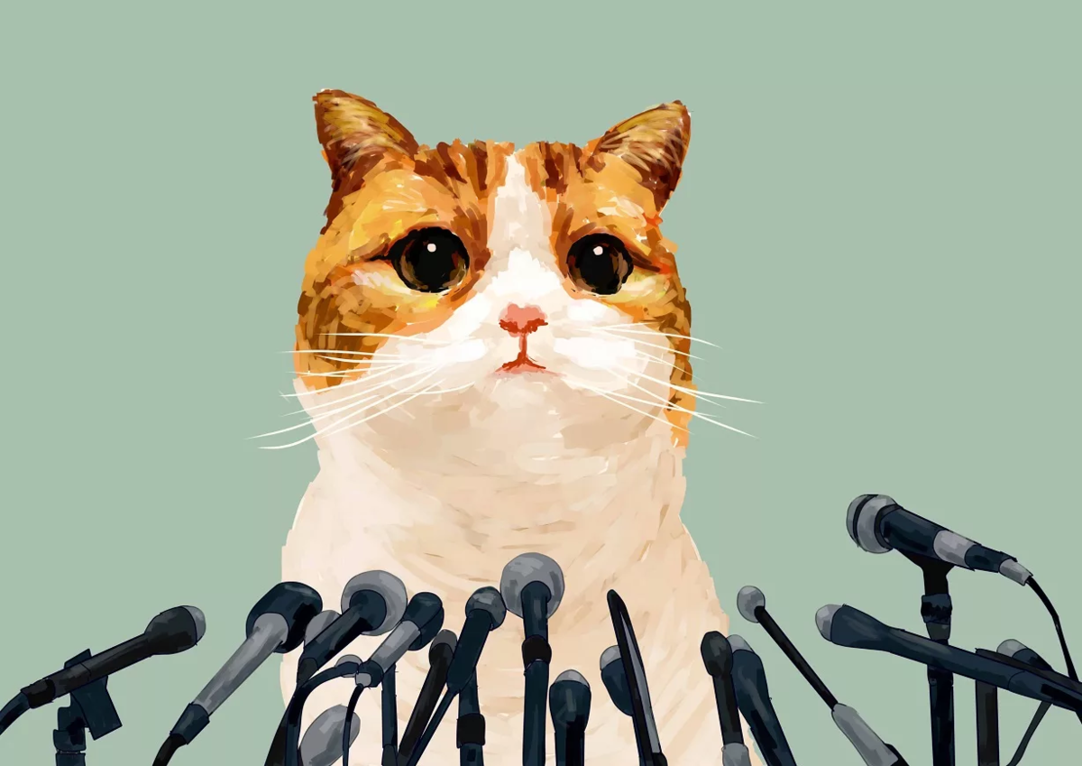 211. Когда um gato - это не кот Бразильский португальский Дзен