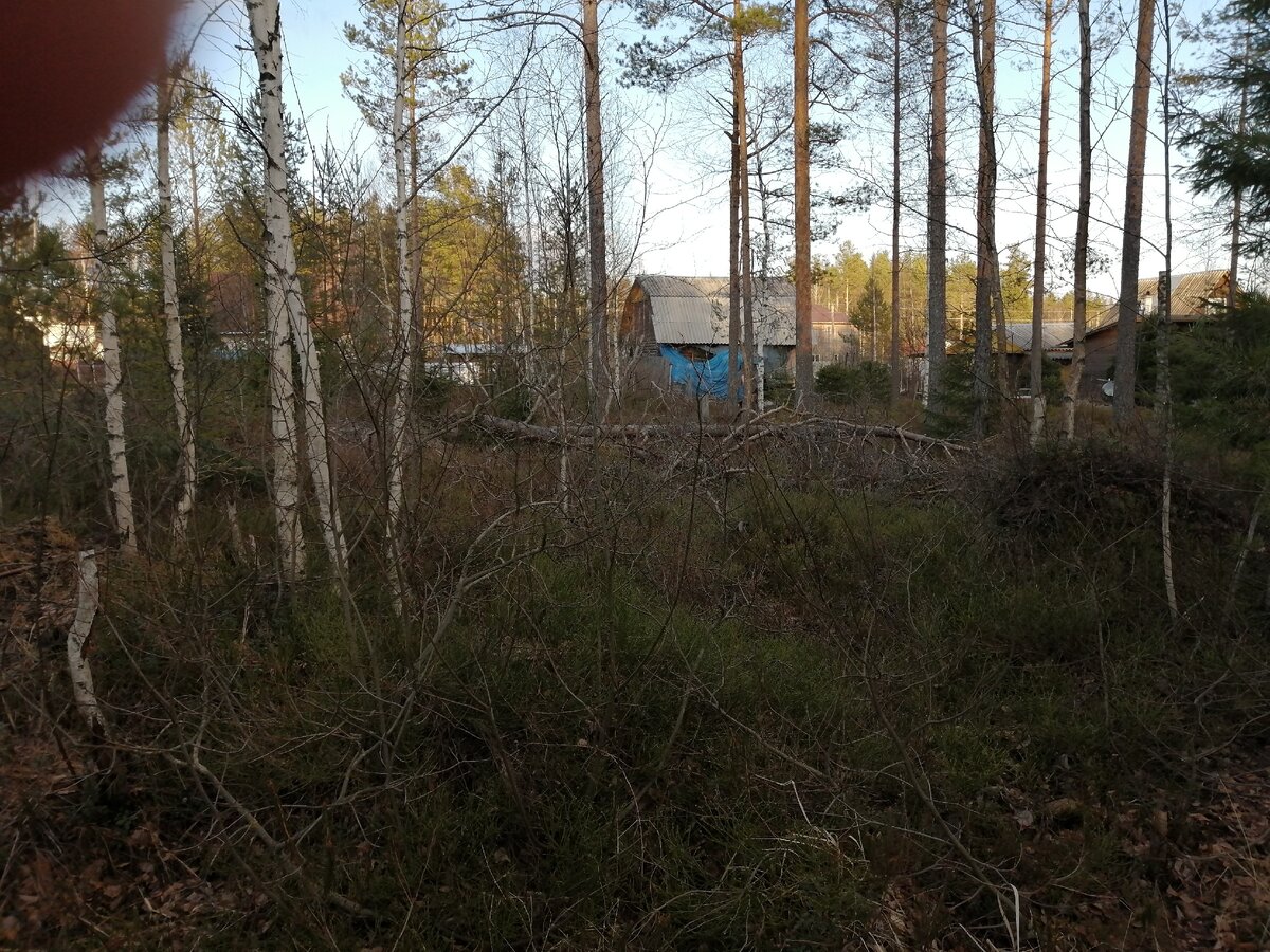 Первая встреча с участком