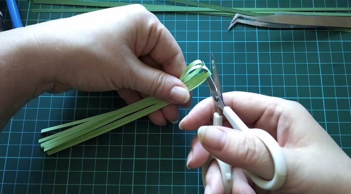 разрезаем пополам светло-зеленую бумагу для квиллинга