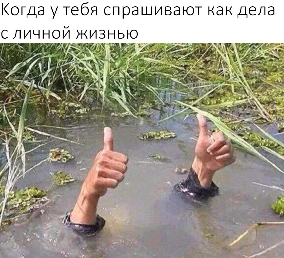 Стрелец, ДЕВА, Весы, КОЗЕРОГ, Рыбы, Рак 