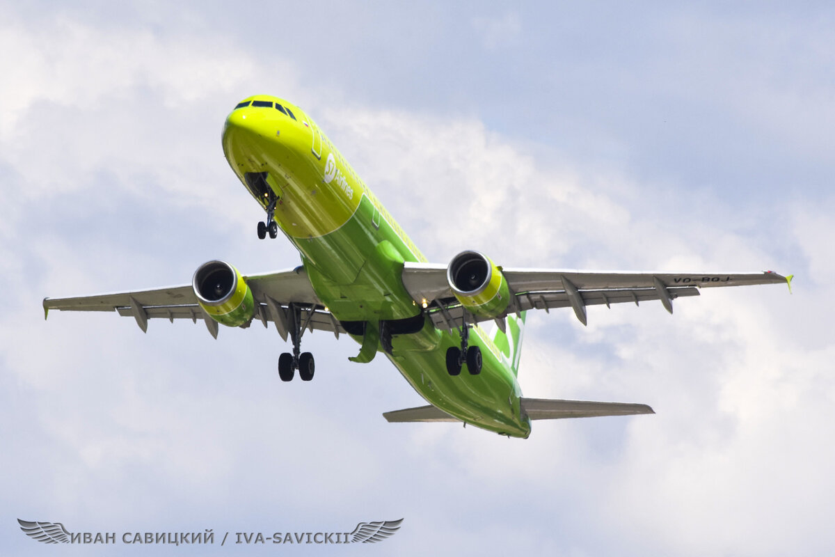 Airbus A321, а/к Сибирь