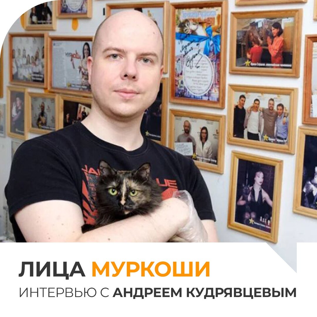 📣 Лица «Муркоши»: Андрей Кудрявцев😻 | Центр помощи кошкам «Муркоша» | Дзен