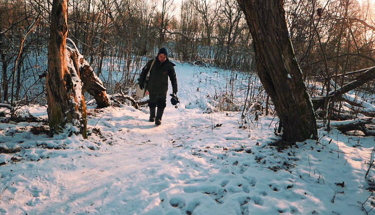 Дорога до водоёма. Фото автора.