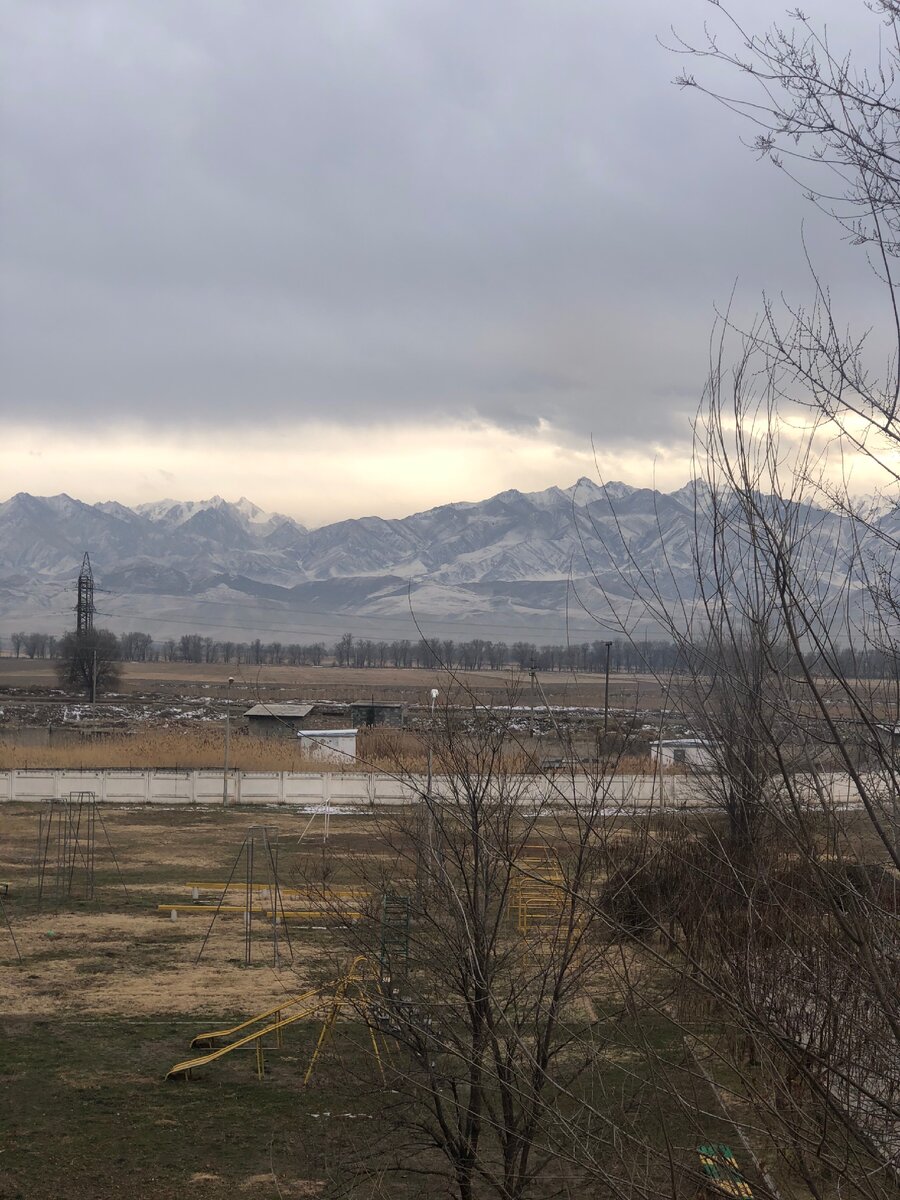 Кант город