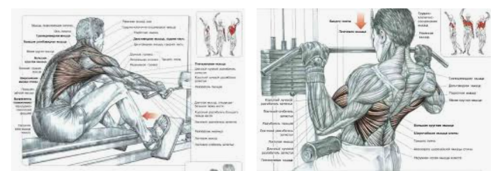 Фото из Интернета : горизонтального и вертикальные блоки