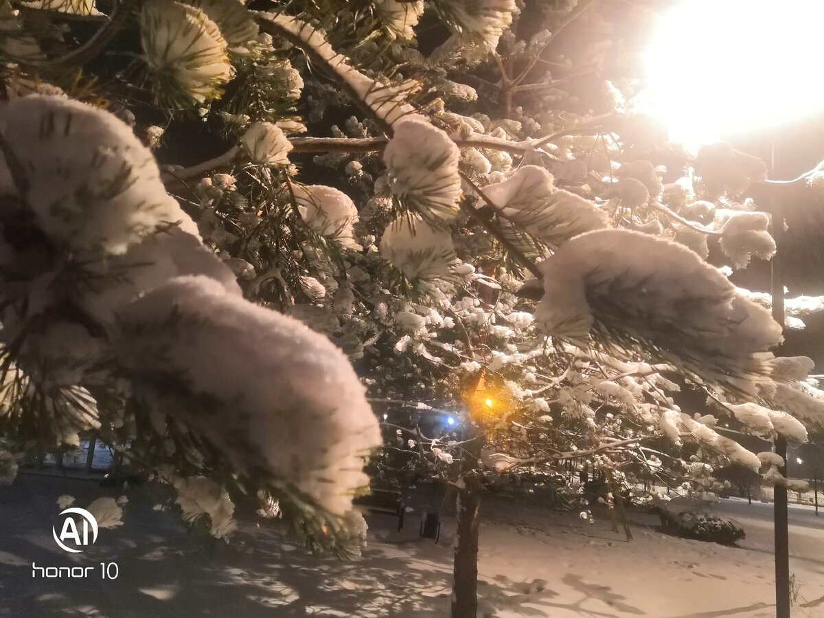 Фото сделанное мной. 