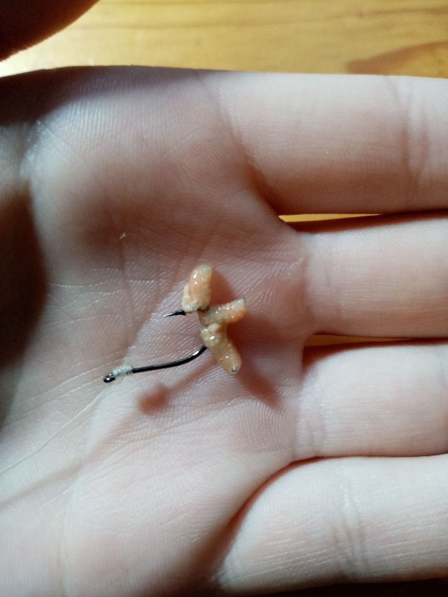                                  Я насаживаю опарыша по-разному, но в основном так. 