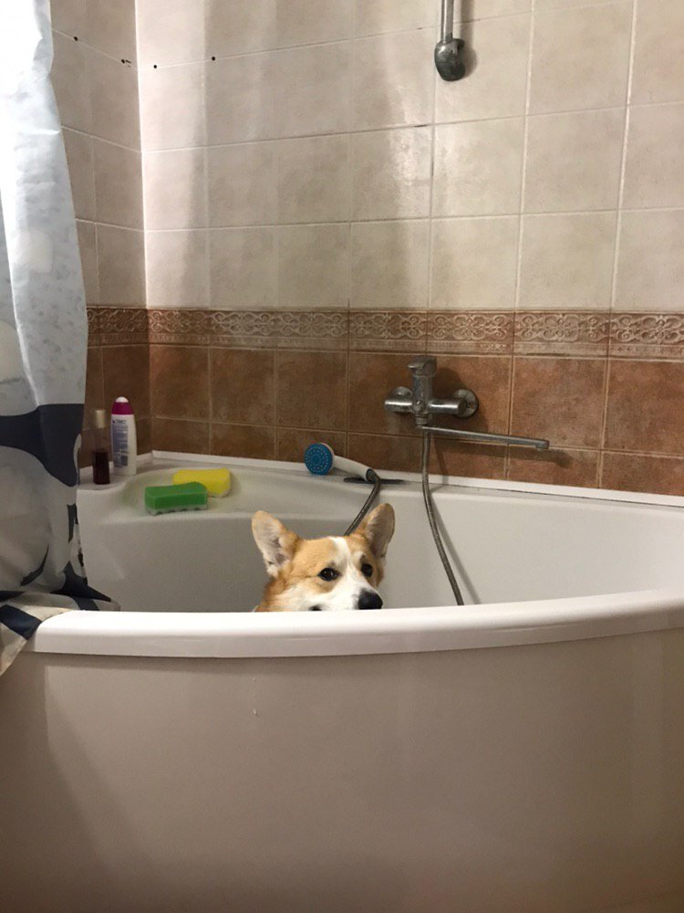 Процедура купания