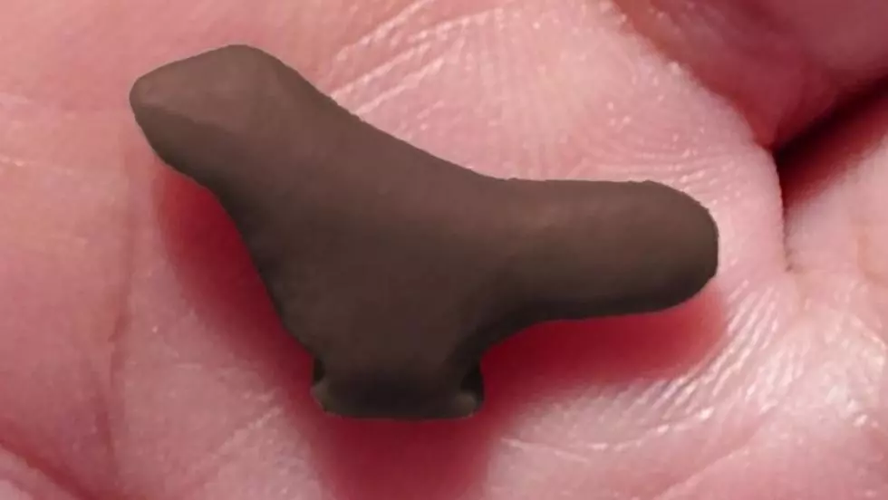 В пресс-релизе, учёные сказали: «Это открытие указывает на оригинальную художественную традицию и отодвигает более чем на 8 500 лет представление о птицах в китайском искусстве».