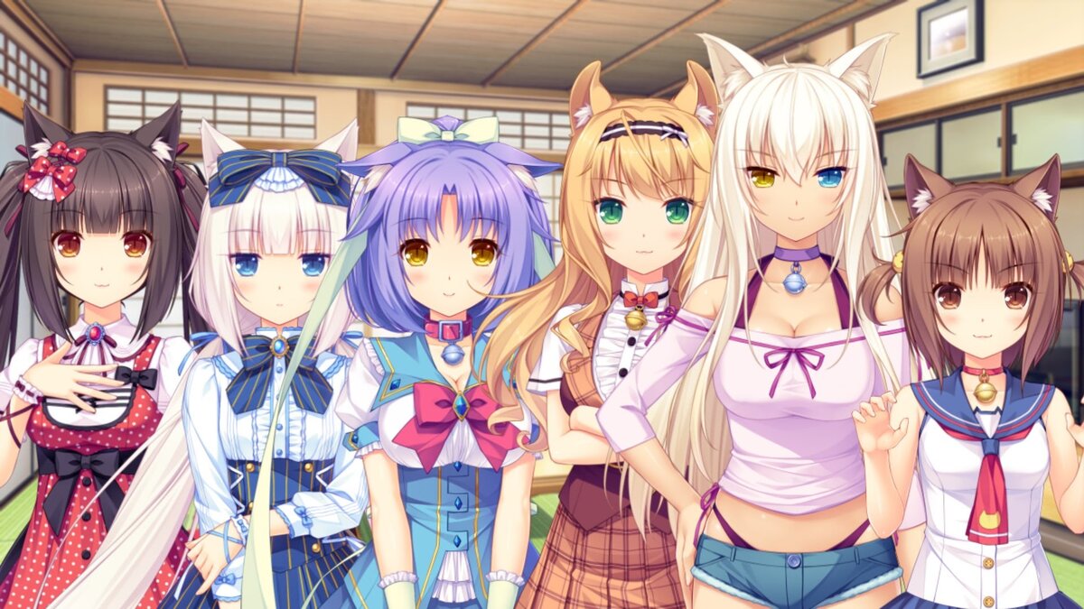 Слева направо: Кошечки Чокола,Ванилла,Циннамон,Мэйпл,Коконат,Азуки.