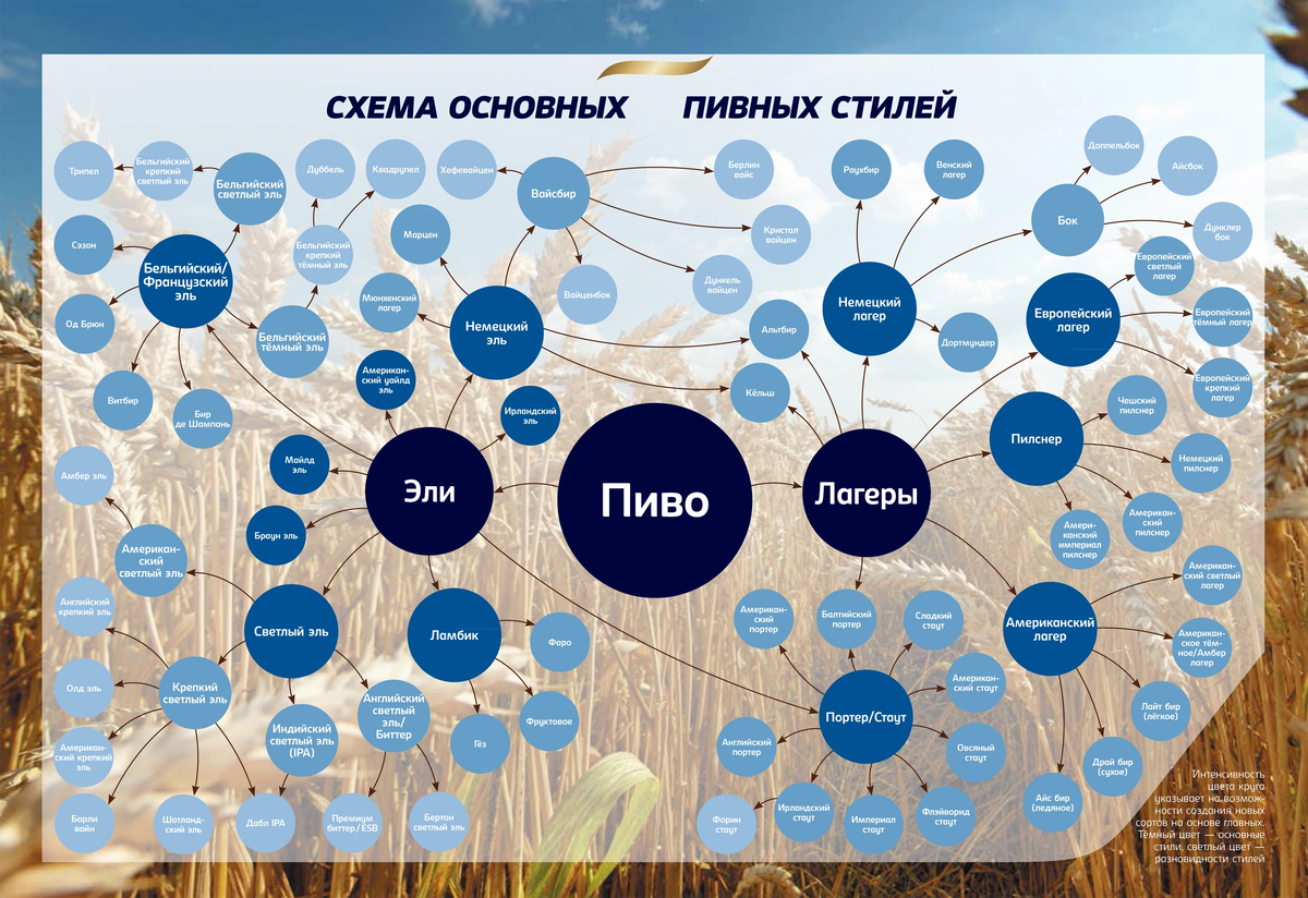  Без эталонов. ссыль - https://yandex.ru/images/search?text=все%20стили%20пива%20схема&from=tabbar&pos=3&img_url=https%3A%2F%2Fpbs.twimg.com%2Fmedia%2FDXh3X8xWAAAIUJH.jpg&rpt=simage