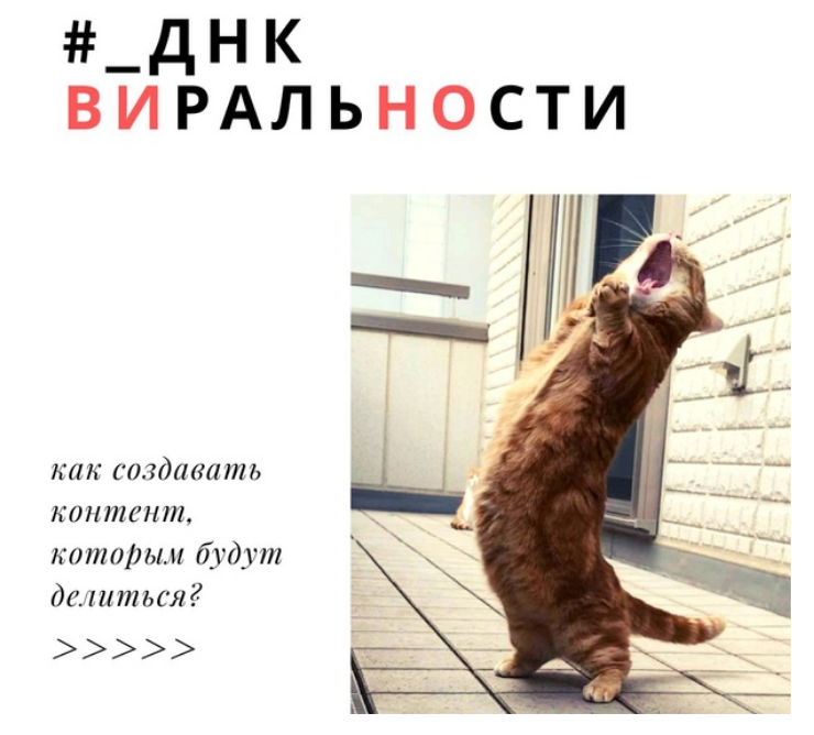 Этот кот поет!