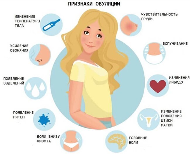 Почему болит низ живота после овуляции: причины и советы