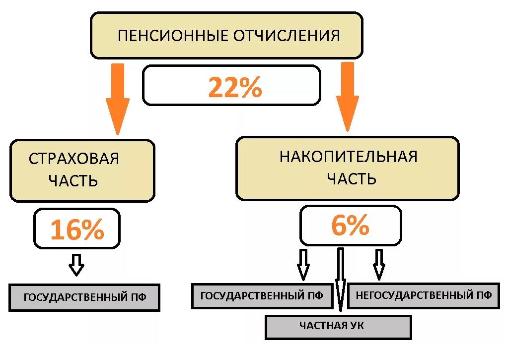 В таком процентном соотношении "идет" распределение пенсионных отчислений