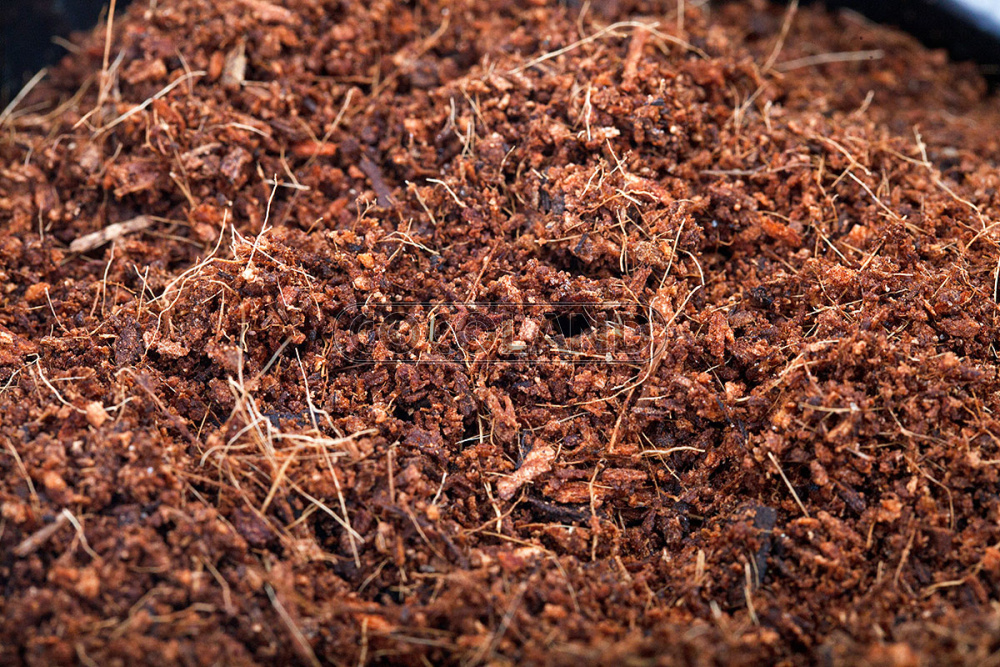 смесь мелкой и средней фракций для выращивания рассады и зеленных культур. Выпускается в виде блоков, матов, в открытых сумках, рассадных кубиках и в таблетках.