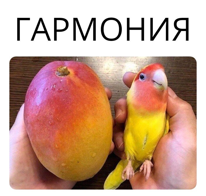 Гармонично, однако