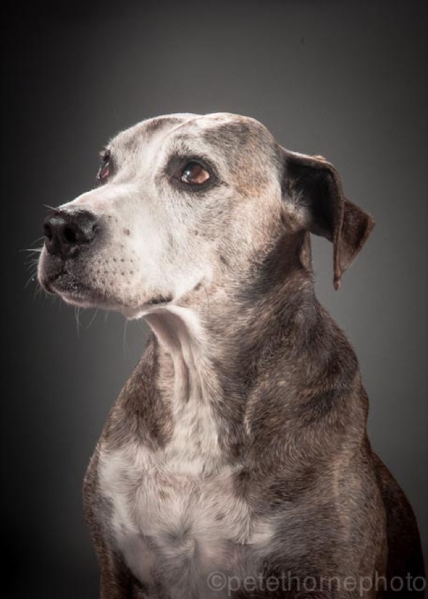 Фото: petethornephoto.com