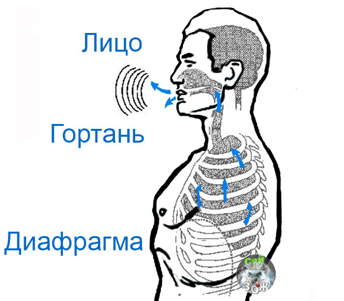 любительский подросток игрушки - бесплатный секс