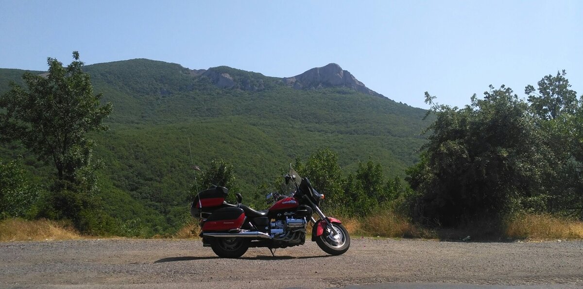 фото из архива автора