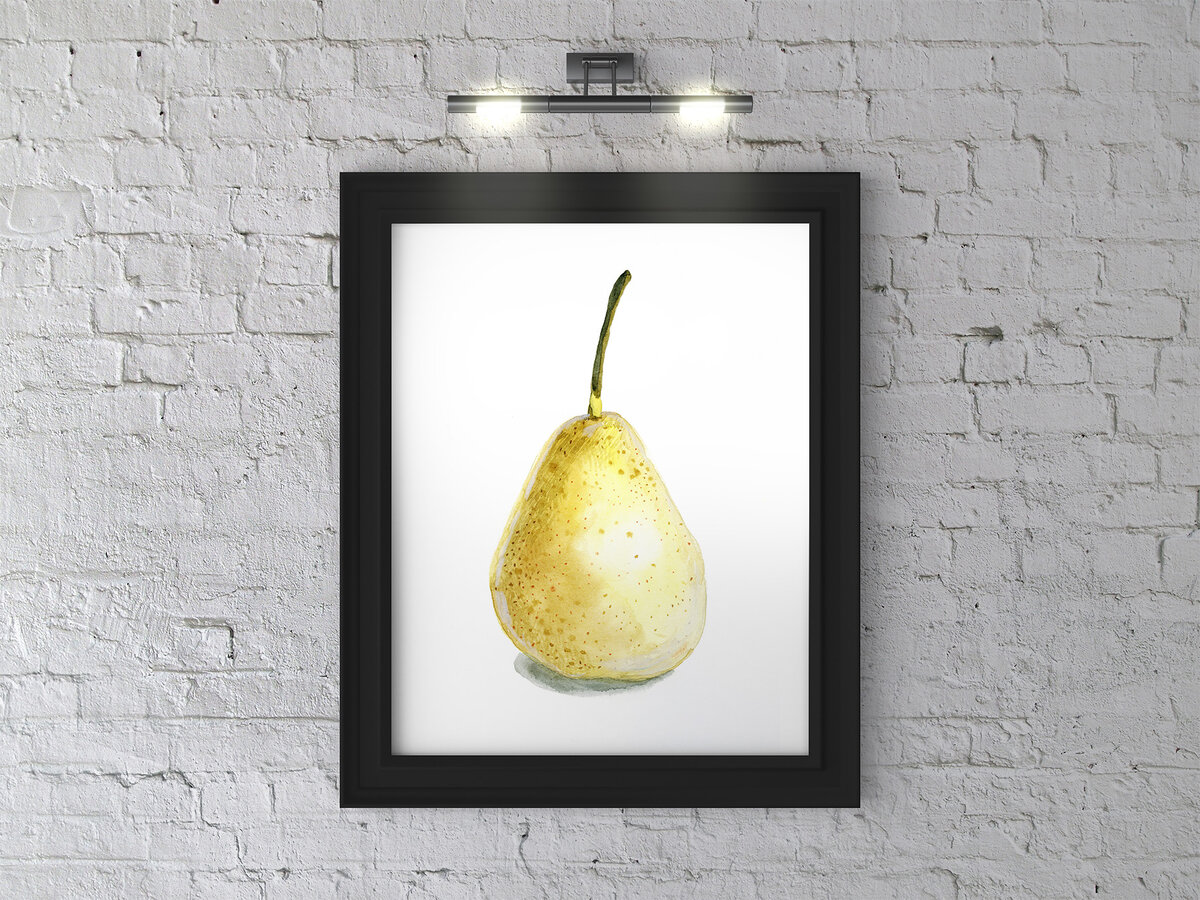 Груша. Акварель.