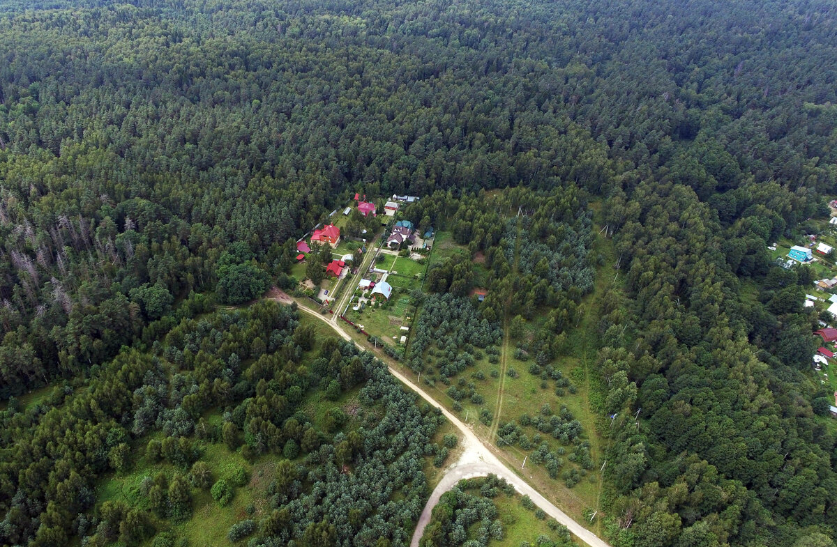 Поселок бор. Тихий Бор Челябинск. Поселок 