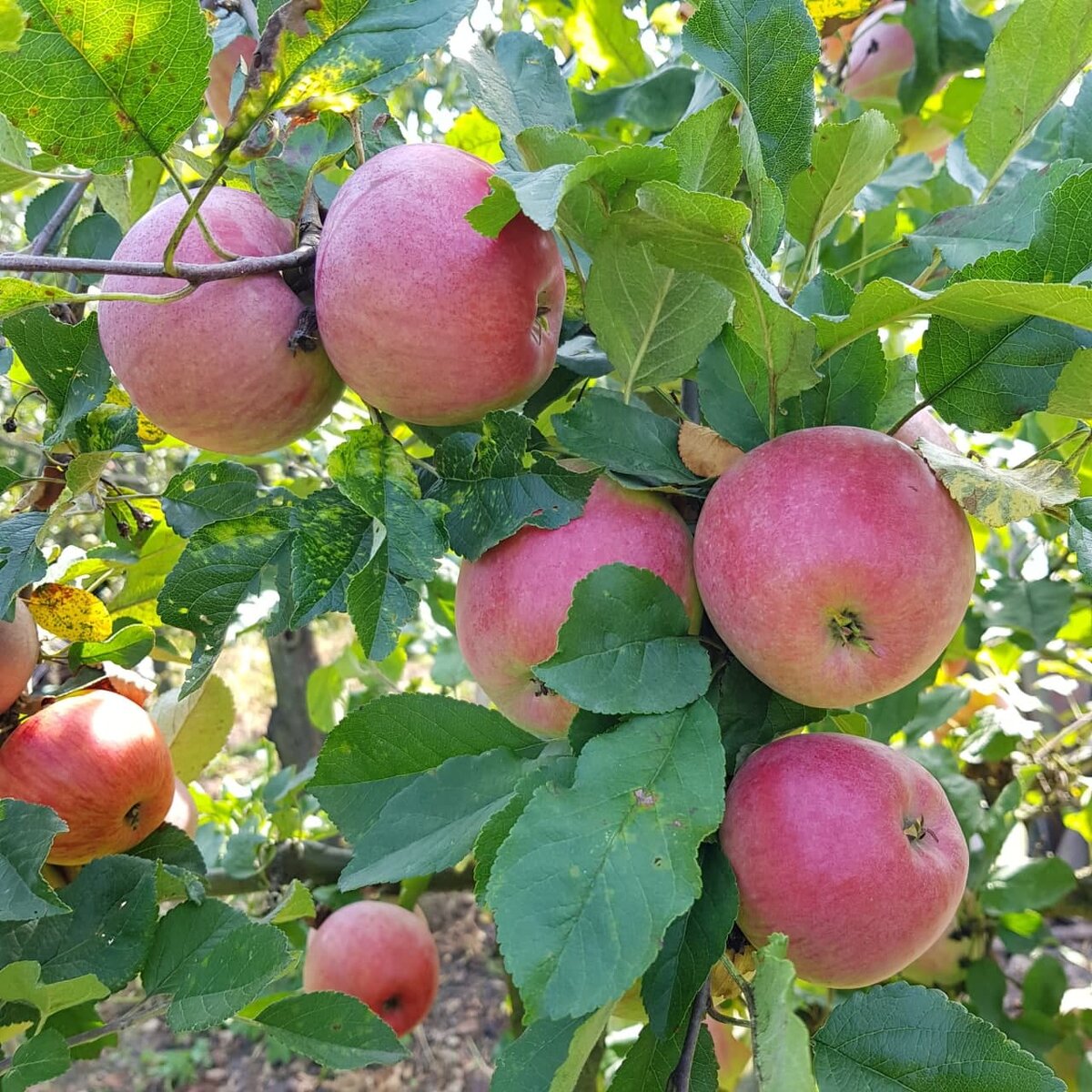 Фото из личного архива