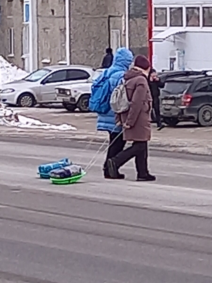 везут добычу домой)