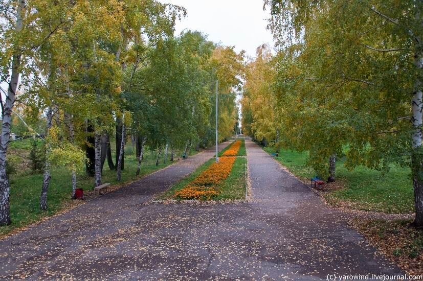 Октябрьский парк победы. Парк Победы Октябрьский Башкортостан. Парк в городе Октябрьский Башкортостан. Город Октябрьский парк Гагарина. Сквер Победы Октябрьский Башкортостан.