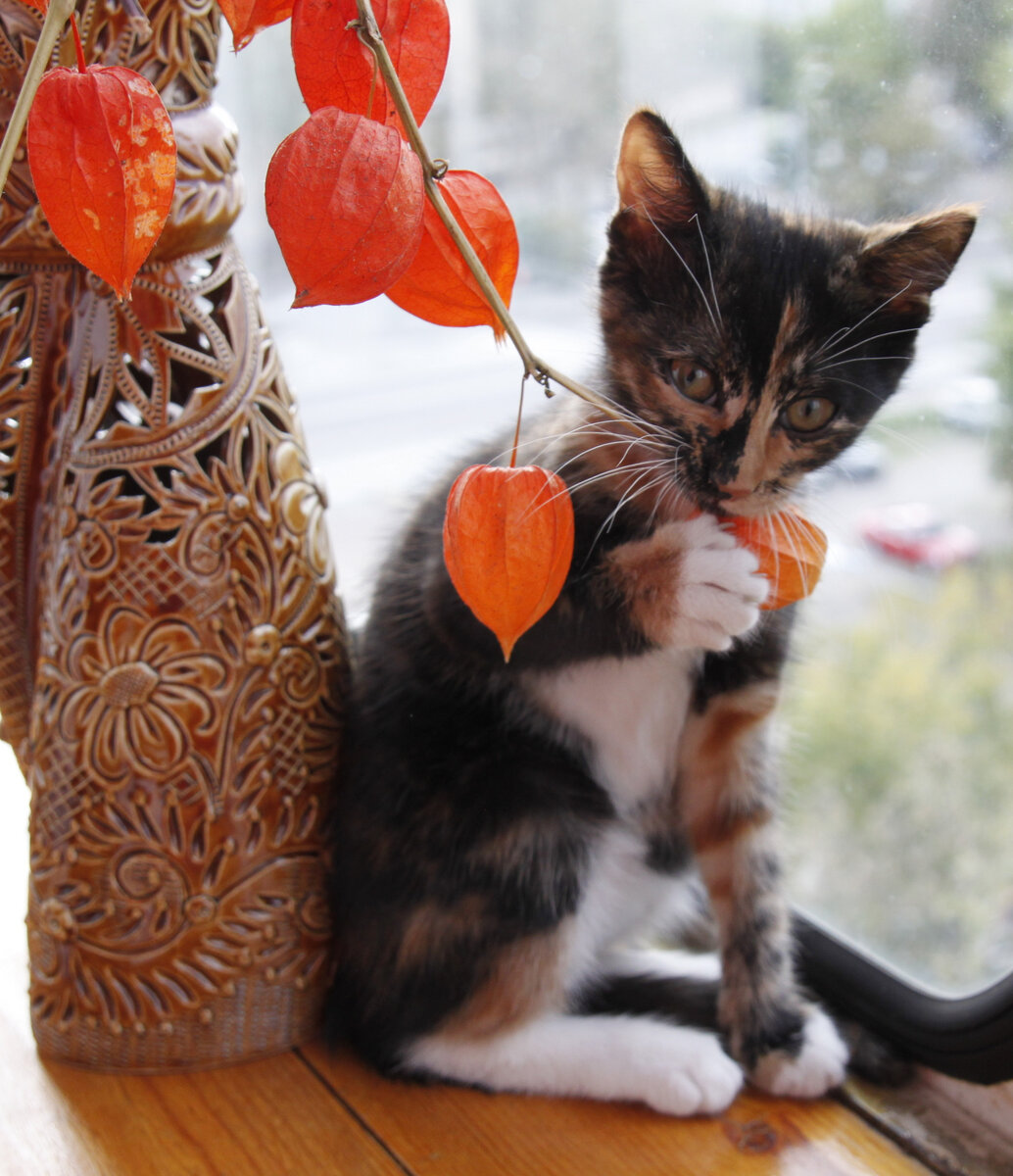 Всё надо попробовать на зуб. Фото автора