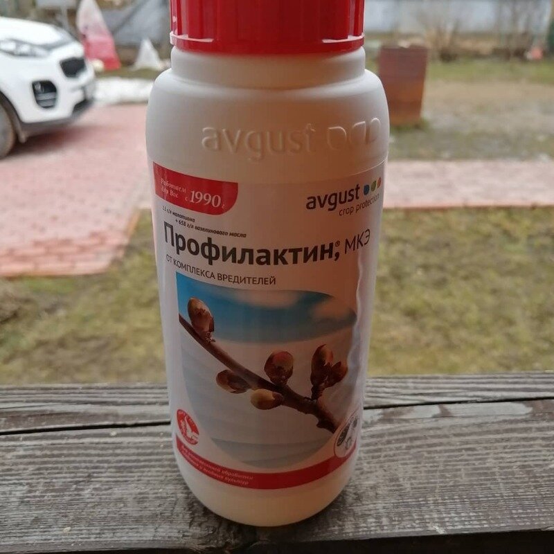 Фото https://www.instagram.com/p/B9b7FlGBCK6/