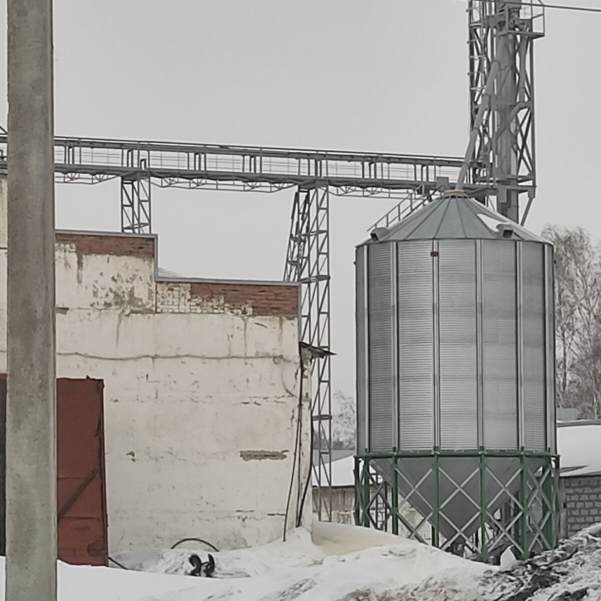 Осенью смонтировали новое оборудование элеватора.