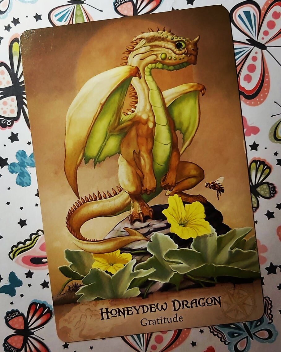 Здесь водятся драконы. Карты Таро "field Guide to Garden Dragons". Карты Таро field Guide to Garden Dragons галерея