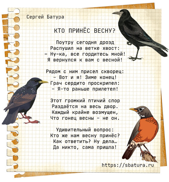 Птичий гам – не просто так 🐦🐦🐦