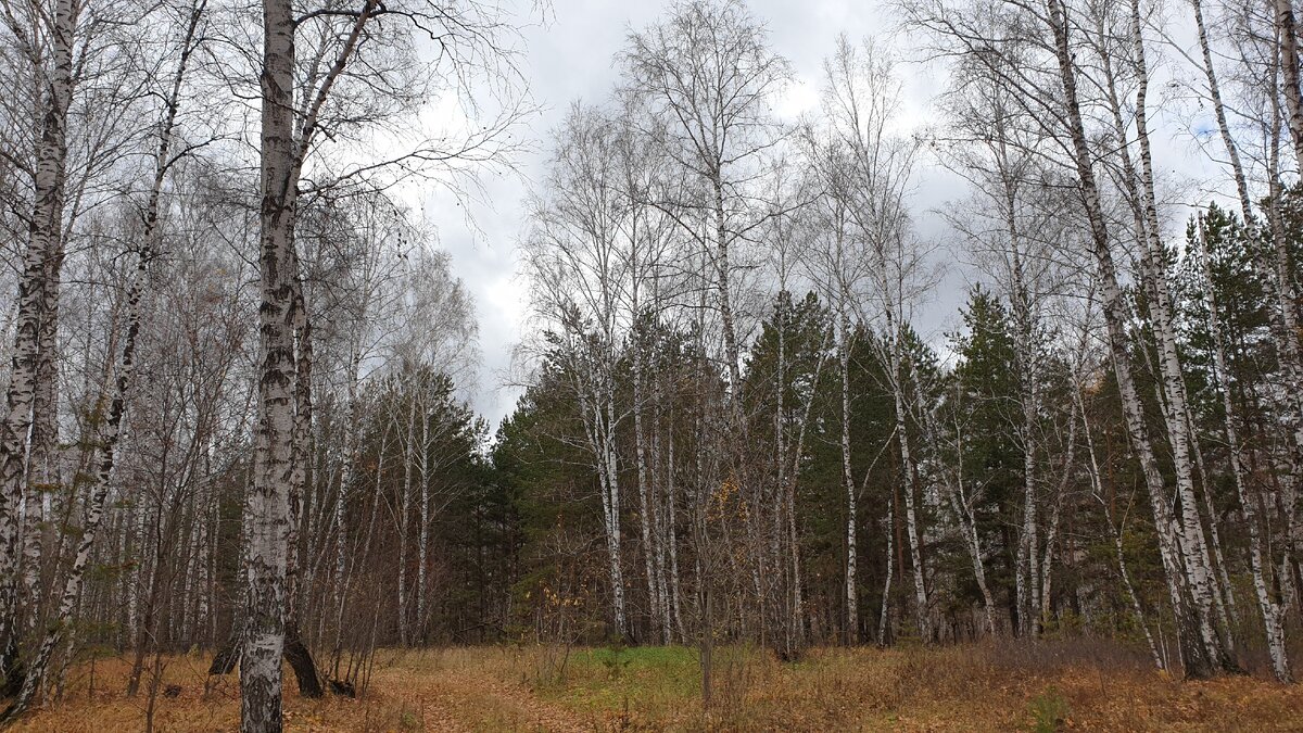 Как-то так выглядит среднестатистический денек здесь на Урале