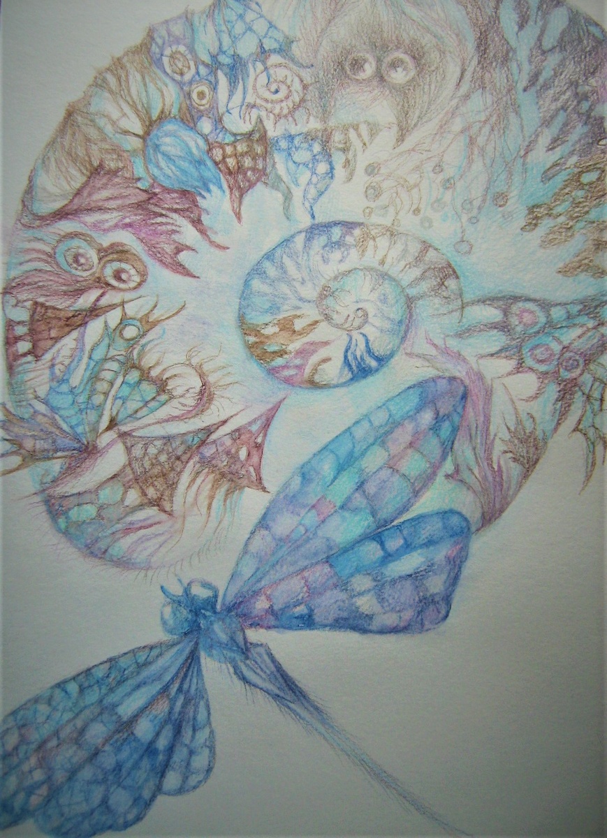 Рисунок автора