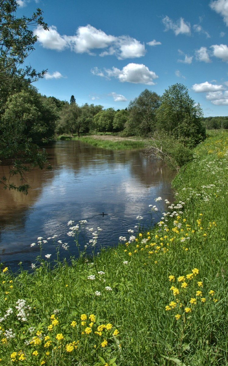 Красивые берега 